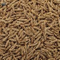 Natural Whole Cumin Seeds Food Grade Quality