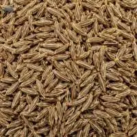 Natural Whole Cumin Seeds Food Grade Quality