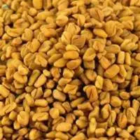 Premium Quality Fenugreek Seeds Methi Whole