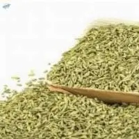 Premium Quality Fennel Seeds Saunf Natural Spice