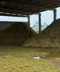 Copper Ore / Copper Concentrate
