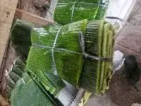Banana Leaf
