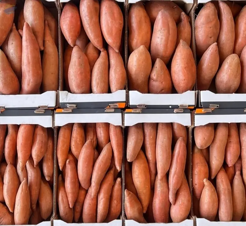 Sweet Potatoes