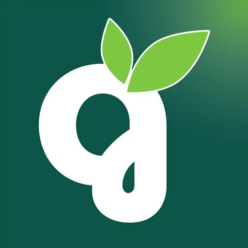 Canary Seeds