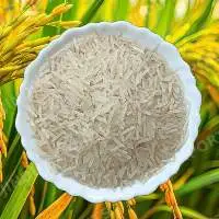 1121 Basmati Rice