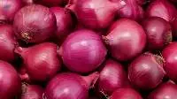 Fresh Red Onion