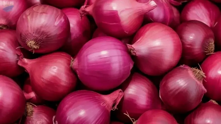 Fresh Red Onion