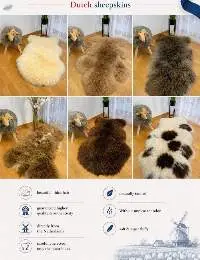 Decorative Dutch Sheepskins