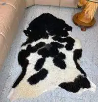Polish Premium Sheepskins