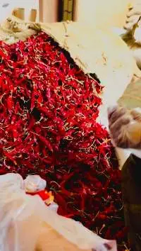 Pure Masale Manufacturer In Kota