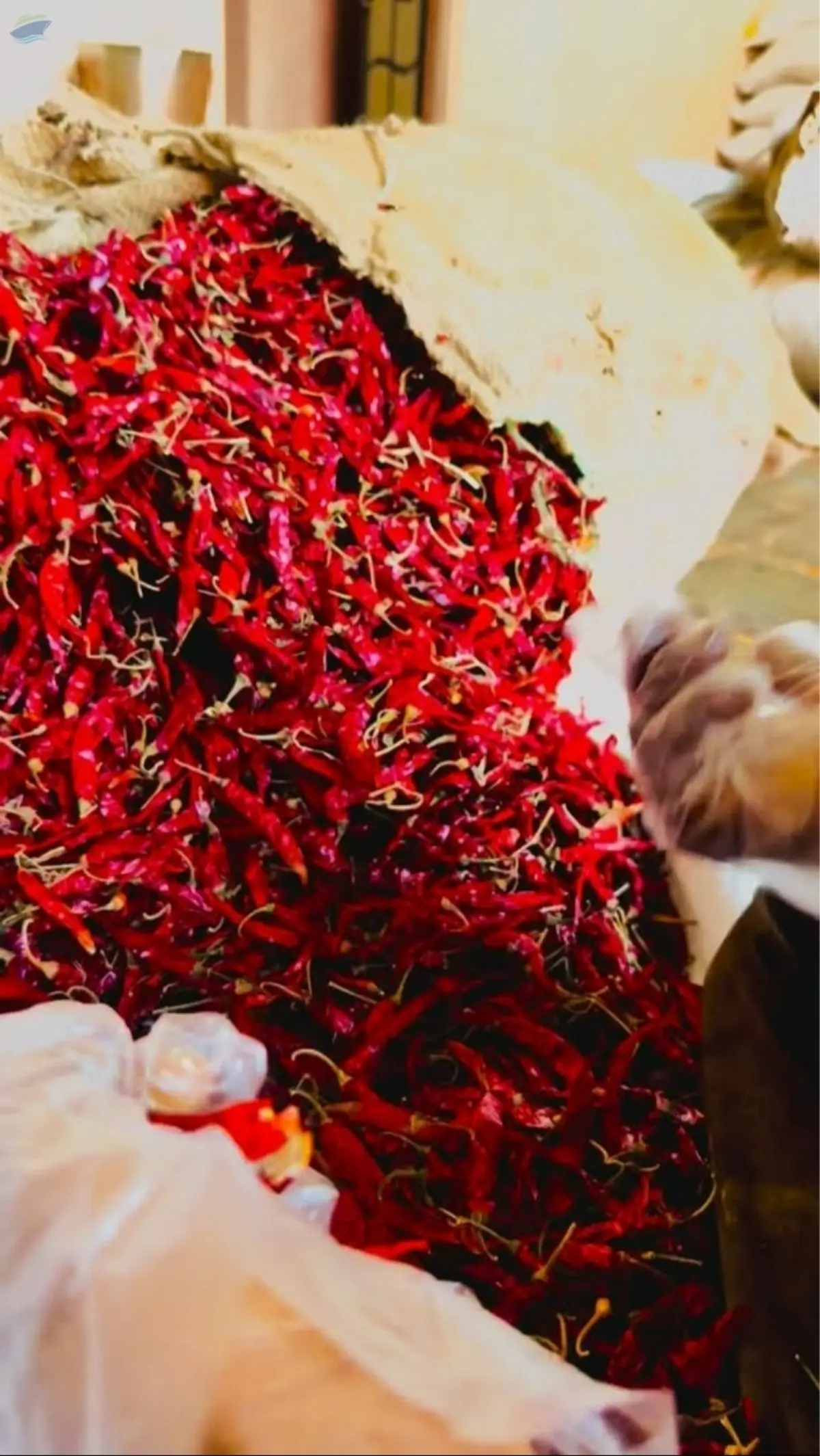 Pure Masale Manufacturer In Kota