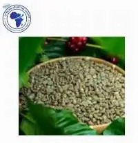 Premium Green Arabica Coffee Beans