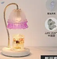 Desk Lamp