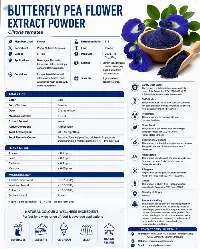 Butterfly Pea Flower Extract Powder 5:1