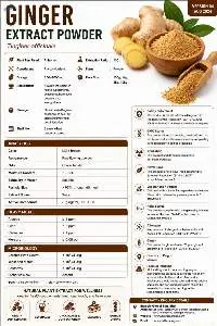 Ginger Extract Powder 100:1
