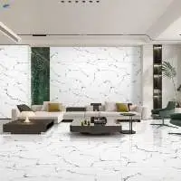 Himalayan Gold Glossy White Living Room Tile  