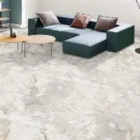 CR-21040 Carving White Living Room Tile 600 x 12