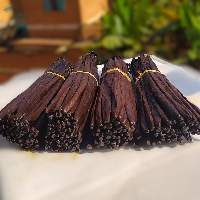 Vanilla Bean Gourmet Vanilla Planifolia