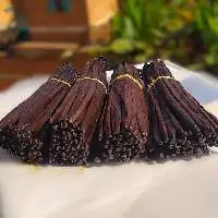 Vanilla Bean Gourmet Vanilla Planifolia