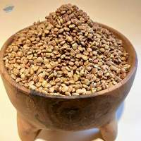 Premium Wild Kurdish Sumac Supply 