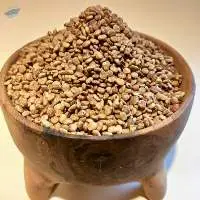 Premium Wild Kurdish Sumac Supply 