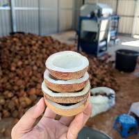 Premium Edible Dried Copra Half Cut