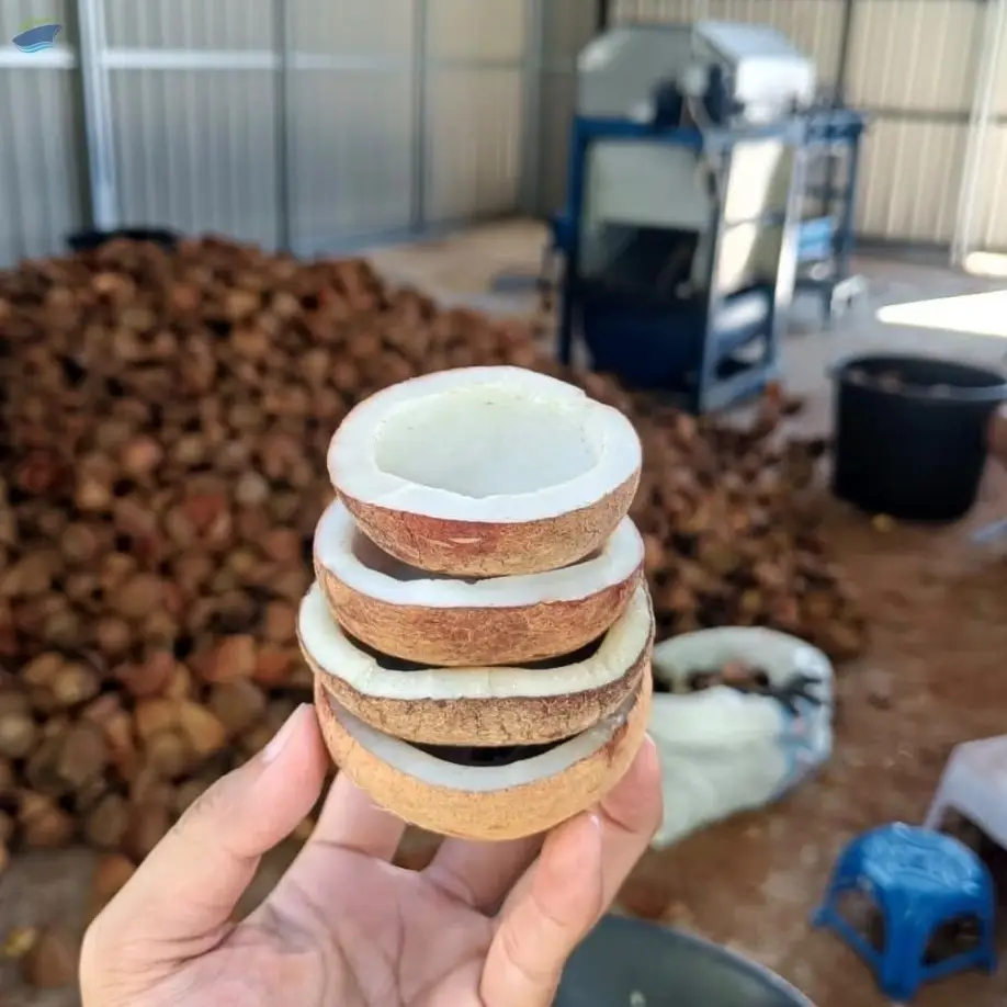 Premium Edible Dried Copra Half Cut