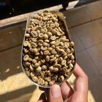 Indonesian Green Robusta Coffee Beans
