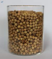 Premium Indonesian White Pepper