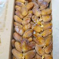 Deglet Nour Dates