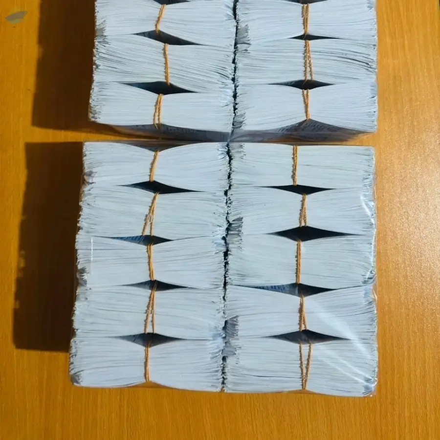 Custom Paper Medicine Envelopes