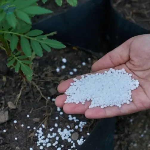 Urea