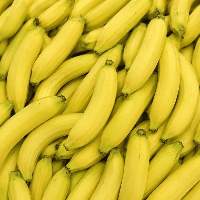Premium Cavendish Banana