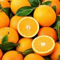 Nagpur & Valencia Oranges