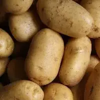Premium Table Potatoes