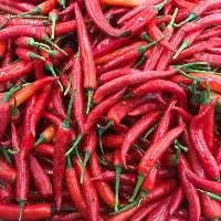 Spicy Dry Red Chilli