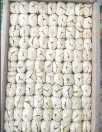Dried Figs