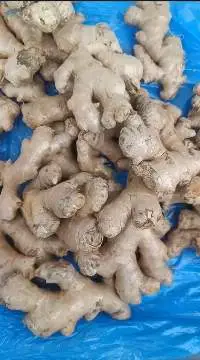Fresh Ginger