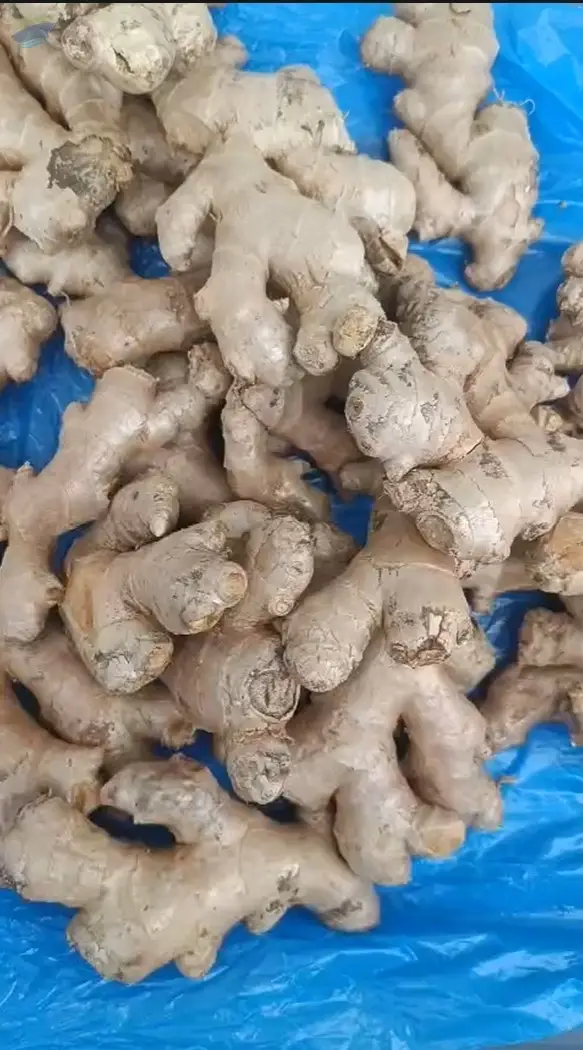 Fresh Ginger