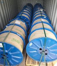 Stainless Steel Spring Wire