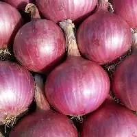 Fresh Premium Quality Red Onions
