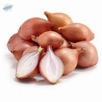 Fresh, Aromatic, And Naturally Sweet Shallots