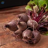 Fresh Beetroot