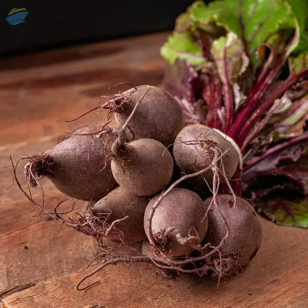 Fresh Beetroot