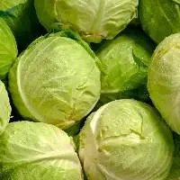 Premium Quality Grade Fresh Cabbage