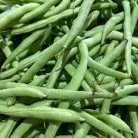 Premium Fresh French Beans Export Quality 