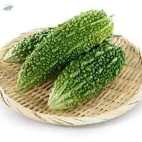Premium Quality Fresh Bitter Gourd