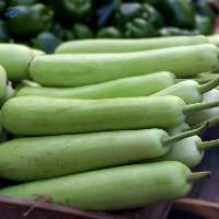 Fresh Bottle Gourd (Lauki)