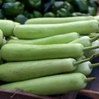 Fresh Bottle Gourd (Lauki)