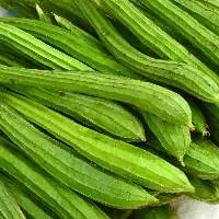 Premium Quality Fresh Green Ridge Gourd